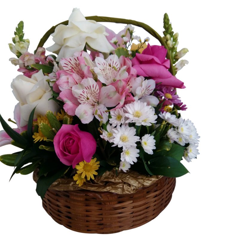 cesta de flores em Florianópolis flor em Floripa