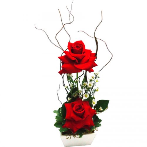 rosas rosa flores em Florianópolis floricultura em Floripa decoração de eventos