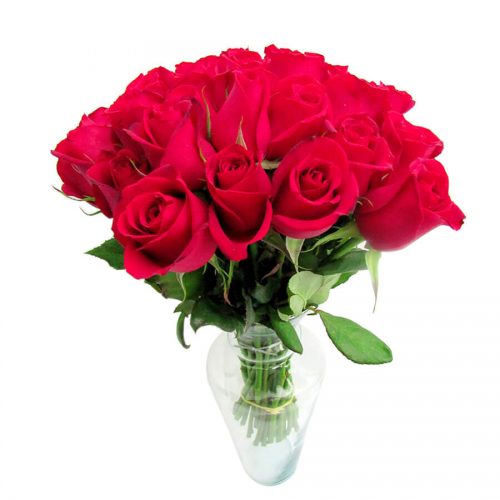 buque de rosas flores em Florianópolis floricultura em Floripa decoração de eventos