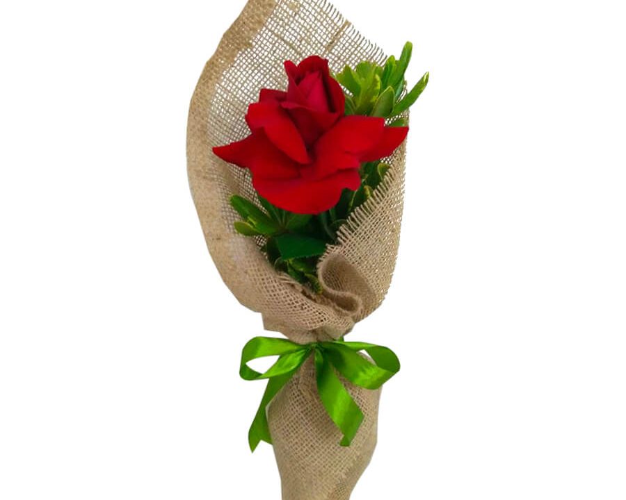 rosa importada em Florianópolis floricultura em Floripa decoração de eventos