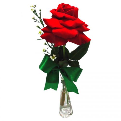 rosa em Florianópolis floricultura em Floripa decoração de eventos