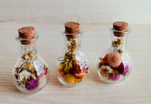 Garrafas de vidro com flores secas e desidratadas
