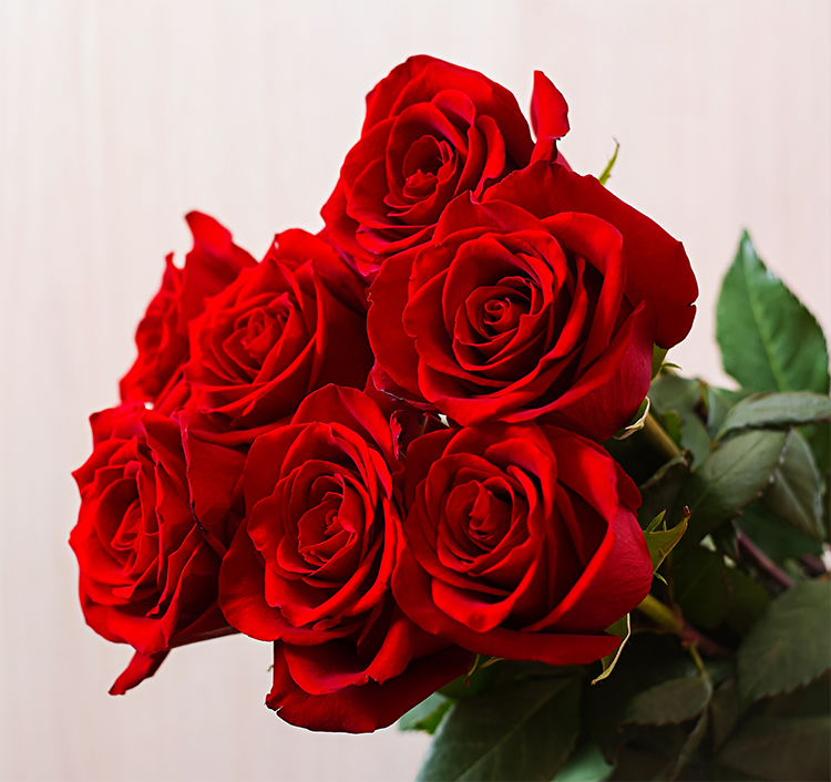 buquê de rosas rosa significado