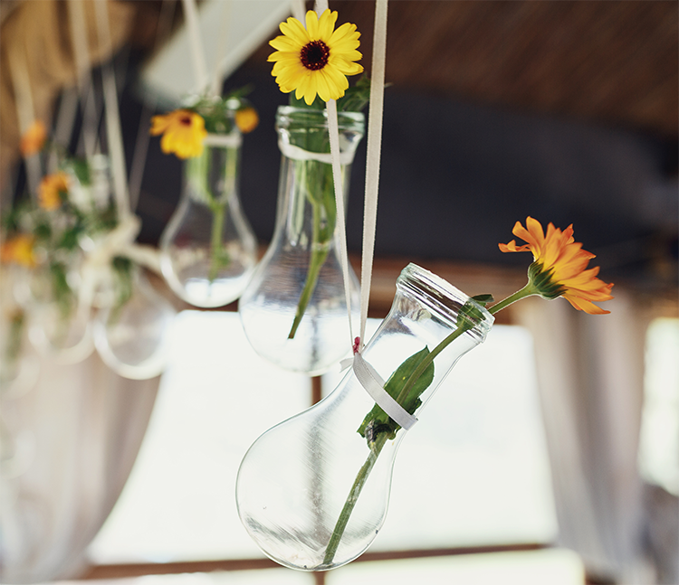 festa junina julina flores floral