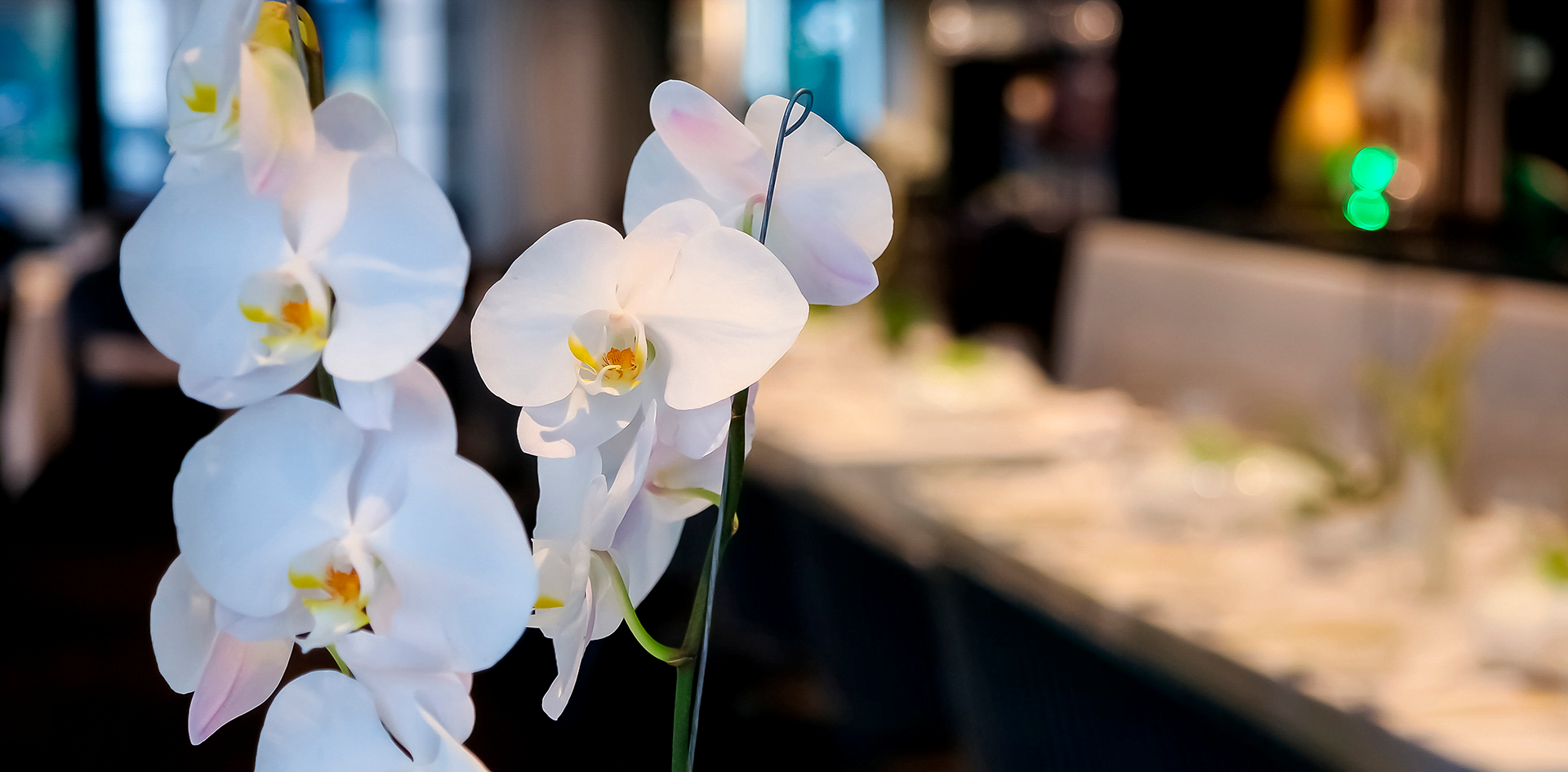 decoração de eventos em Florianópolis Floripa