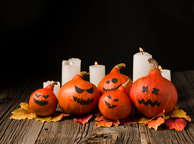 halloween com flores cia das flores